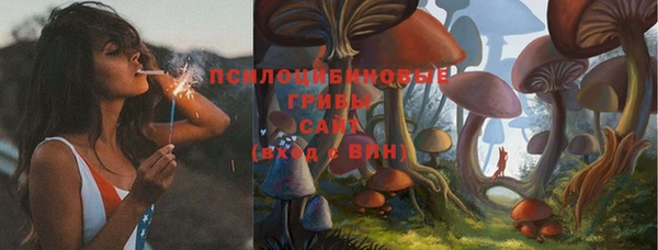 2c-b Абдулино