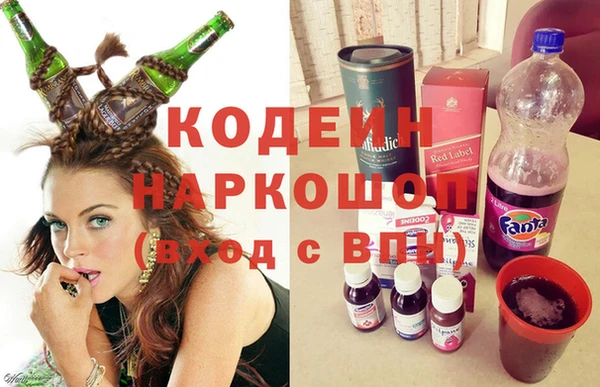 молекула духа Елизово